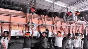Viral Video: मजदूरों का गजब टीम वर्क देख दंग रह जाएंगे, लोग बोले- मशीन भी पड़ गई फेल