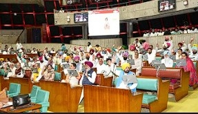 पंजाब में AAP सरकार ने जीता विश्वास मत, मुख्यमंत्री भगवंत मान ने विधानसभा में बहुमत किया साबित  Janta24x7news